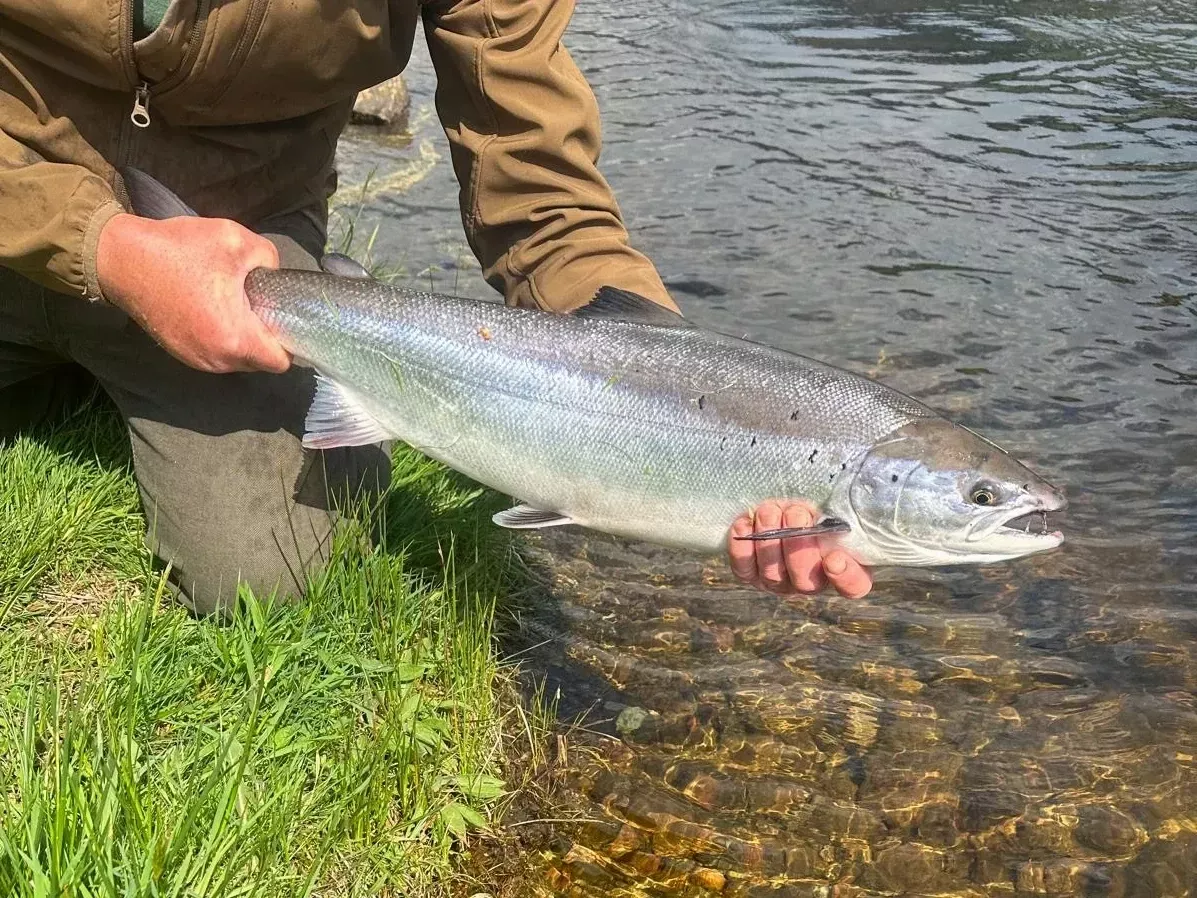 River Garry Image 1