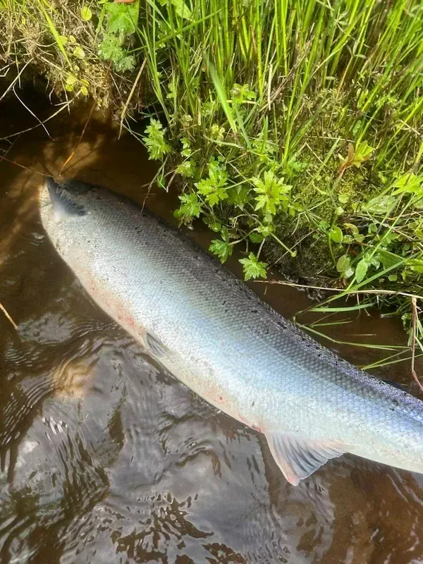 River Garry Image 19