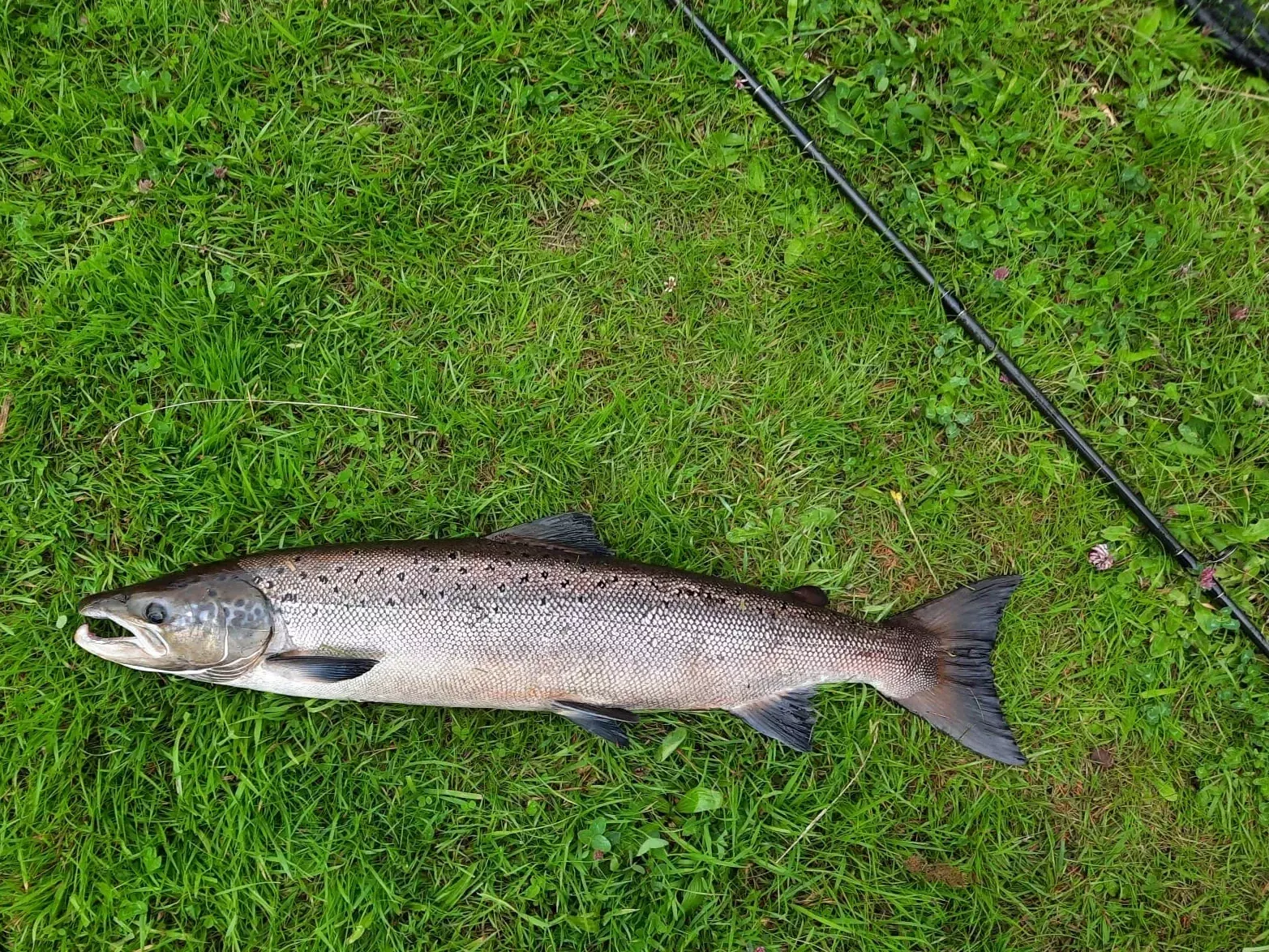 River Garry Image 2